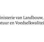 Wie beschermt hier wie?