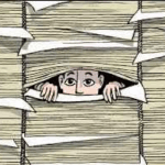 De oplossing voor natuur, klimaat en stikstof problemen ligt voor het oprapen