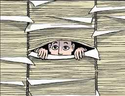 De oplossing voor natuur, klimaat en stikstof problemen ligt voor het oprapen